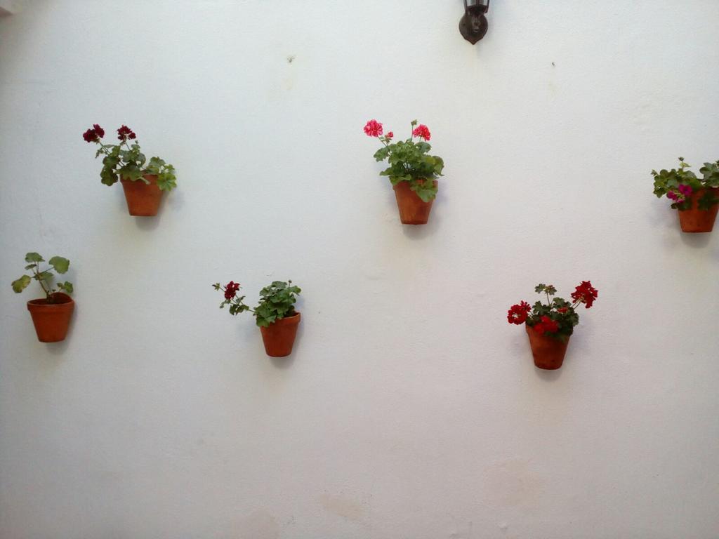 Apartamentos Porvera Jerez Χέρεζ Εξωτερικό φωτογραφία